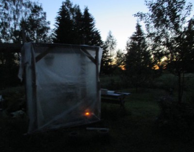 tomaatit pakkasyo1 pieni.jpg